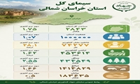 خرید گندم از کشاورزان خراسان شمالی