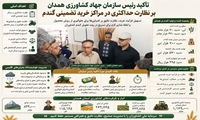 لزوم نظارت حداکثری در مراکز خرید تضمینی گندم