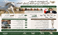 هویت‌گذاری اسب‌ها؛ گامی بلند برای توسعه صنعت پرورش اسب در آذربایجان شرقی