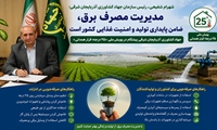 مدیریت مصرف برق، ضامن پایداری تولید و امنیت غذایی کشور