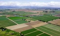 یکپارچه‌سازی ۹ هزار هکتار از اراضی کشاورزی خراسان شمالی
