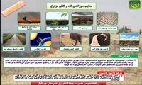 معایب سوزاندن بقایای گیاهی و کاه و کلش در مزارع