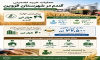  عملیات خرید تضمینی گندم در شهرستان قزوین