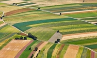  نظارت بر ۱۹۰ هکتار از مجوزهای تغییر کاربری در سیستان و بلوچستان