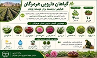 اجرای برنامه راهبردی برای توسعه کشت گیاهان دارویی در استان هرمزگان