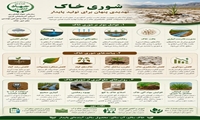 شوری خاک را جدی بگیریم