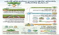 راهنمای جامع مدیریت بیماری‌های قارچی در مزارع چغندر قند