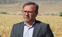 کشاورزی مدرن، کلید اصلی پویایی اقتصاد کشاورزی لرستان
