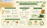 آغاز  عملیات خرید بذر گندم و جو در استان زنجان/ با هدف تامین نهاده با کیفیت و ارتقای امنیت غذایی