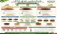  راهنمای شناسایی تجربی بافت خاک و پروتکل‌های صحیح نمونه‌برداری
