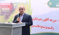 کاهش تغییر کاربری اراضی کشاورزی در گیلان با قیمت گذاری مناسب برنج و چای