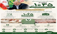 مدیریت بازار مرغ در آذربایجان شرقی