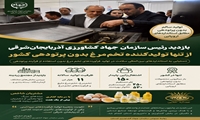 تولید سالم بدون پرتودهی