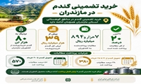  تداوم عملیات خرید تضمینی گندم در مازندران/ پرداخت بهای گندم کشاورزان در اولویت قرار گرفت