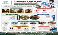 تب مالت؛ بیماری مشترک بین انسان و دام