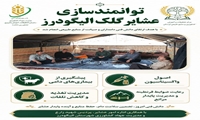 توانمندسازی عشایر گلک الیگودرز؛ از ارتقای سلامت دام تا مدیریت پایدار مراتع