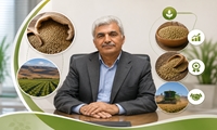 آذربایجان‌شرقی؛ رتبه نخست تولید عدس کشور با سهم ۲۵ درصدی از تولید ملی