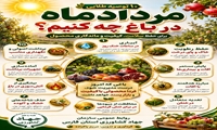  توصیه طلایی؛ مردادماه در باغ چه کنیم؟