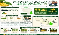 نقش راهبردی سیستان و بلوچستان در تامین بازار موز کشور