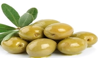 اجرای عملیات کانون‌کوبی آفت مگس زیتون در ۲ هزار هکتار از باغات سنتی رودبار