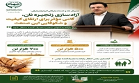 اصلاح زنجیره تأمین آرد و نان، گامی مؤثر در مسیر ارتقای کیفیت و پایداری امنیت غذایی کشور