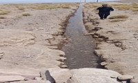 بازگشت حیات به مزارع سروستان؛ احیای قنات اسماعیل‌آباد پس از ۳۰ سال خشکسالی
