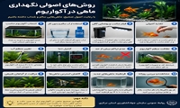 روش های اصولی نگهداری ماهی در آلواریوم