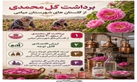 |  برداشت گل محمدی از گلستان های شهرستان میامی