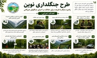  طرح جنگلداری نوین