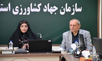بیمه، سوخت و هزینه‌های تولید؛ سه دغدغه اصلی کشاورزان