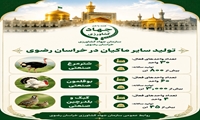 تولید سایر ماکیان در خراسان رضوی 