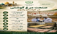 صنعت مرغداری خراسان رضوی در یک نگاه 