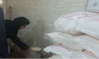 استاندار ایلام خواستار بازنگری سهمیه آرد روستایی و عشایری شد/ کیفیت نان باید همپای افزایش قیمت ارتقا یابد