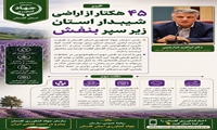 ۴۵ هکتار از اراضی شیبدار گلستان زیر سپر بنفش