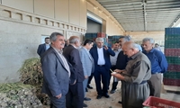 پایانه صادراتی کشاورزی «صاحب سقز» جهشی بزرگ در مسیر توسعه صادرات کردستان