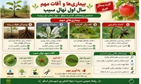 بیماری ها و آفات مهم سال اول نهال سیب
