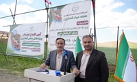 بهره‌برداری از بزرگترین پروژه شبکه آبیاری تحت فشار و زهکشی در آذربایجان غربی