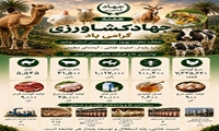عملکرد معاونت بهبود تولیدات دامی سازمان جهاد کشاورزی استان بوشهر 