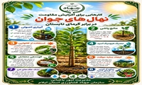 اقدامات باغداران برای افزایش مقاومت نهال های جوان در برابر گرمای تابستان 