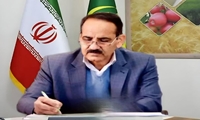 هشدار مدیریت حفظ نباتات یزد درباره گسترش آفت سن در باغ‌های پسته/ باغداران برای پیشگیری اقدام کنند
