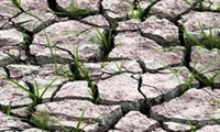 مدیریت ریسک با استفاده از بیمه محصولات کشاورزی