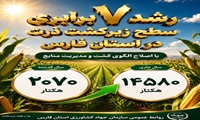 رشد ۷ برابری سطح زیر کشت ذرت در استان فارس