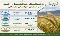 وضعیت، کشت جو در اراضی دیم و آبی استان خراسان شمالی