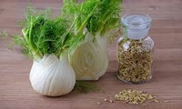 « رزن» در مسیر ثبت جهانی رازیانه