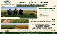 بازدید از مزارع الگویی افزایش حاصل‌ خیزی خاک در استان همدان 