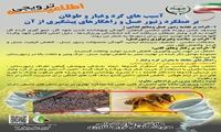 اطلاعیه ترویجی آسیب های گرد و غبار و طوفان بر عملکرد زنبور عسل و راهکار های پیشگیری از آن