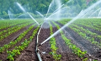 تجهیز ۶۲ هزار هکتار از اراضی لرستان به سیستم‌های نوین آبیاری 