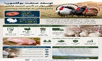 توسعه صنعت بوقلمون؛ گامی مؤثر در تأمین امنیت غذایی و تنوع‌بخشی به تولیدات پروتئینی