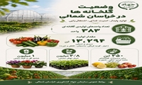 وضعیت تولید محصولات گلخانه‌ای در استان خراسان شمالی
