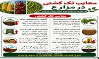 معایب تک کشتی در مزارع